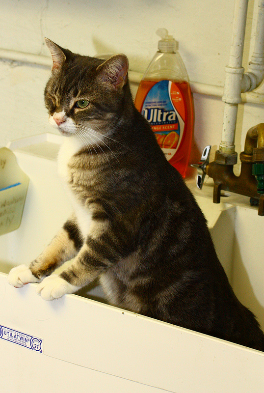 Ranier checks out the view from the sink